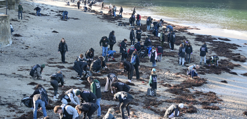 Voluntarios de WE Sustainability realizan una limpieza en la playa de Santa Cruz