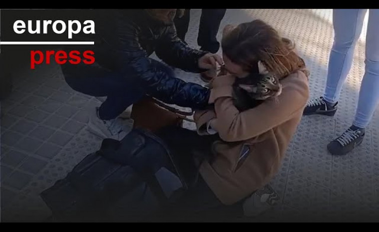 Los Bomberos rescatan con vida a un gato ocho días después del incendio del Campanar