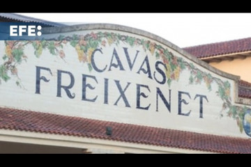 Freixenet presenta un ERTE que afectará a 615 personas por la crisis causada por la sequía