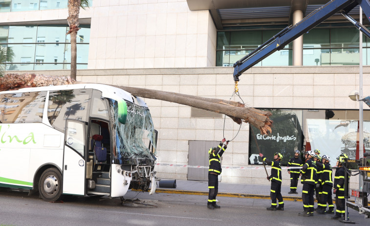 Un autobús se estrella contra un centro comercial en Cádiz y deja tres muertos