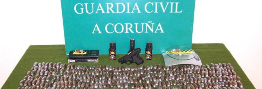 Desarticulada con 8 detenidos una banda que introducía hachís en A Coruña