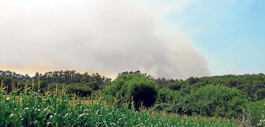 Detenida una vecina de Cerceda como presunta autora de quince incendios