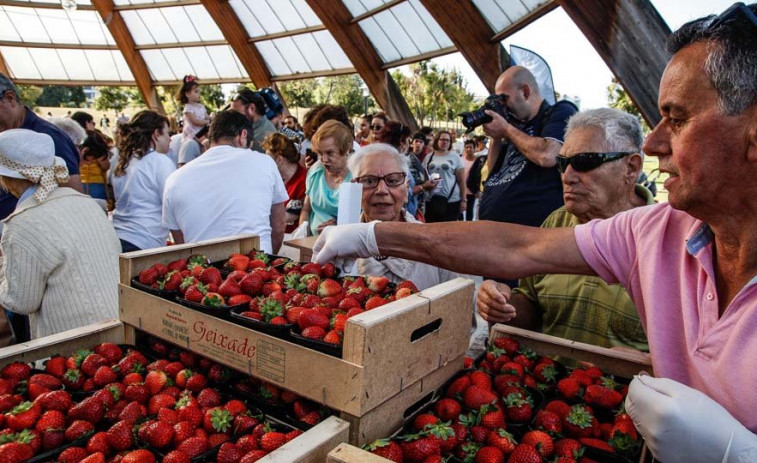 Qué hacer hoy, 22 de agosto, en A Coruña: Fresas y música clásica