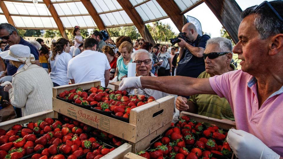 Kilos de fresas, buen tiempo y música tradicional confirman el éxito de las fiestas de Eirís