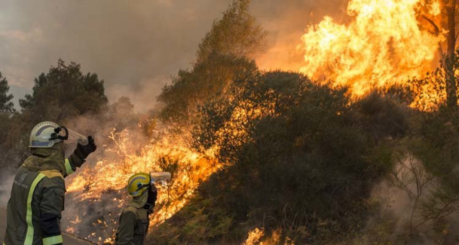 Hasta el mes de agosto se quemaron en Galicia 600 hectáreas