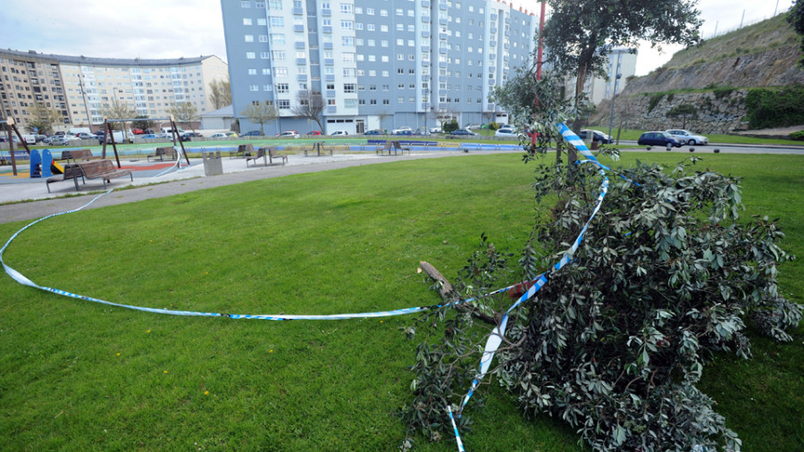 Un fuerte temporal  de viento sorprende a los coruñeses y provoca daños en tejados y jardines