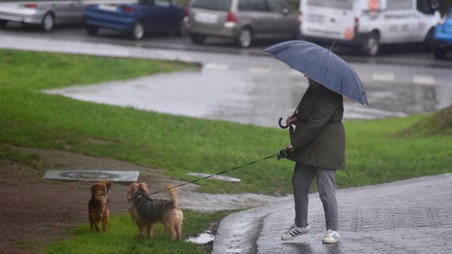 La presencia de perros potencialmente peligrosos sube en la ciudad un 22,6% en los últimos dos años