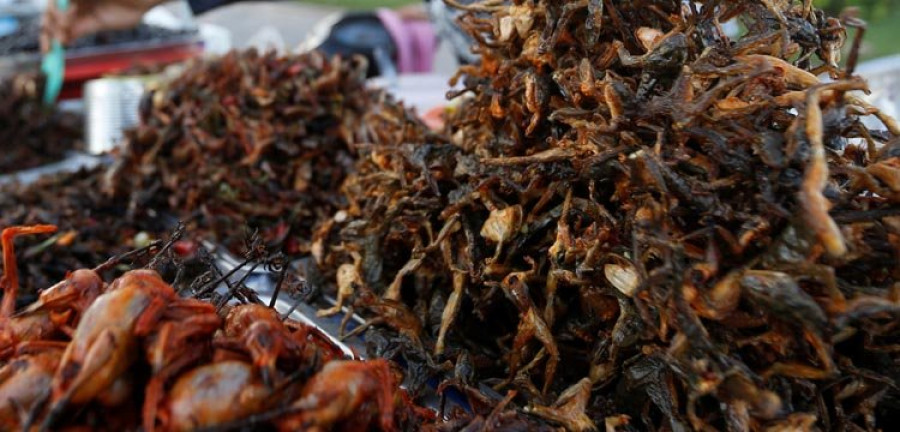 La gastronomía tabú: de la casquería a los insectos