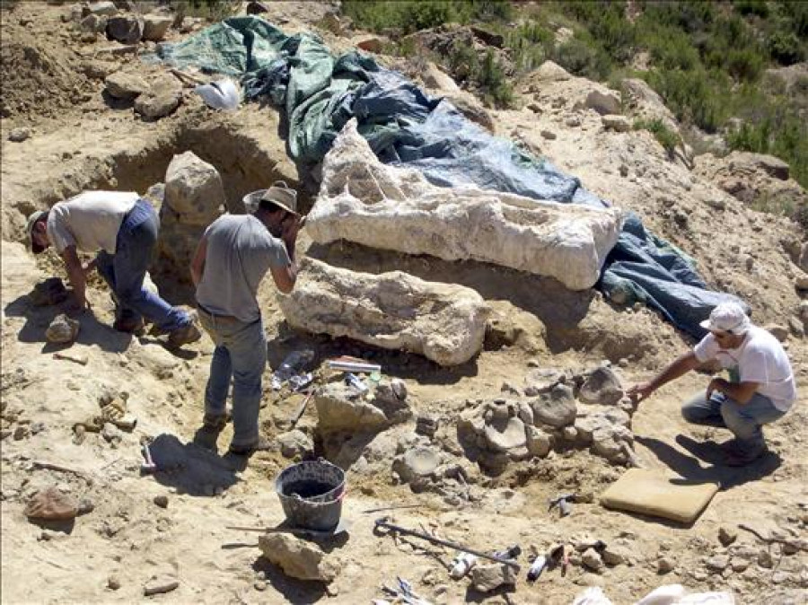 Hallan en Teruel el cráneo del dinosaurio más grande de Europa