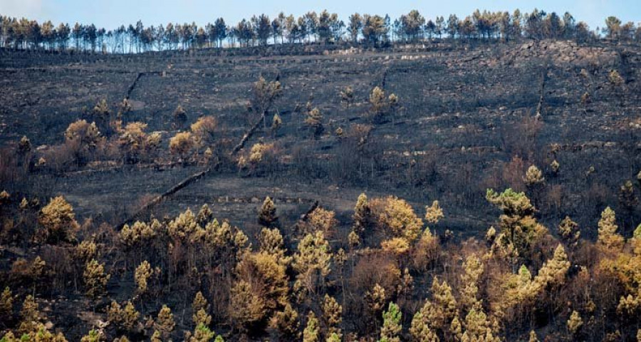 La Cámara impulsa una comisión sobre incendios y política forestal