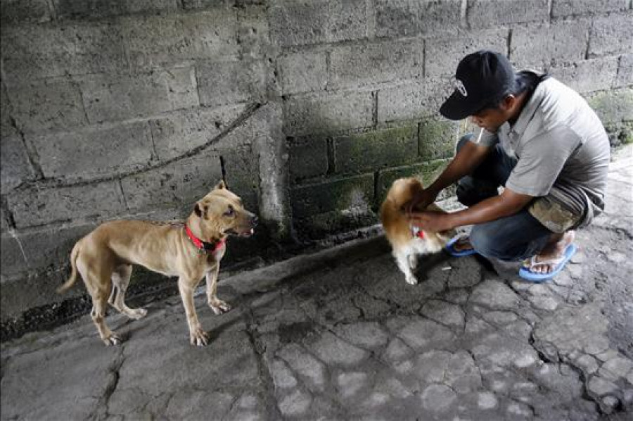 Identifican en Perú a personas con inmunidad natural a la rabia