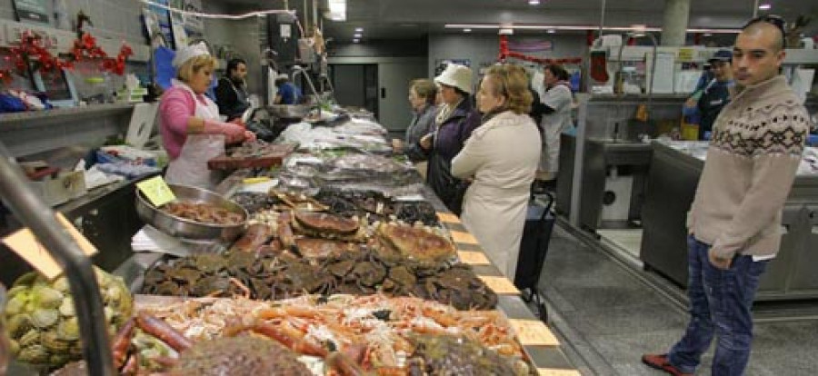 Descubierta una nueva especie de navaja en Galicia