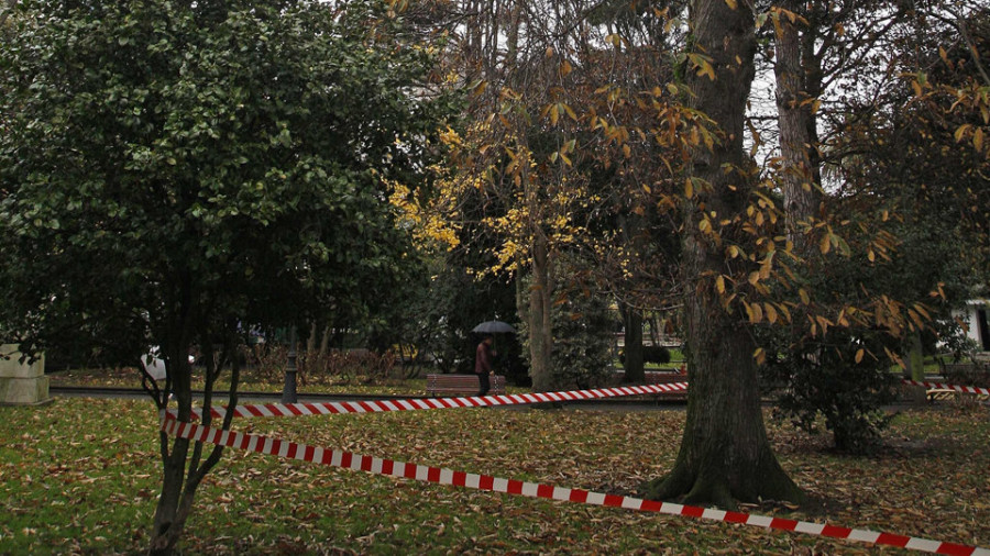 Una zona de Méndez Núñez permanece acordonada por el peligro de caída de ramas