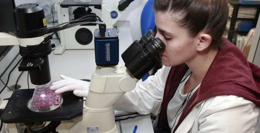 Reportaje | Desde vacunas bacterianas al análisis de retina para prever alzhéimer