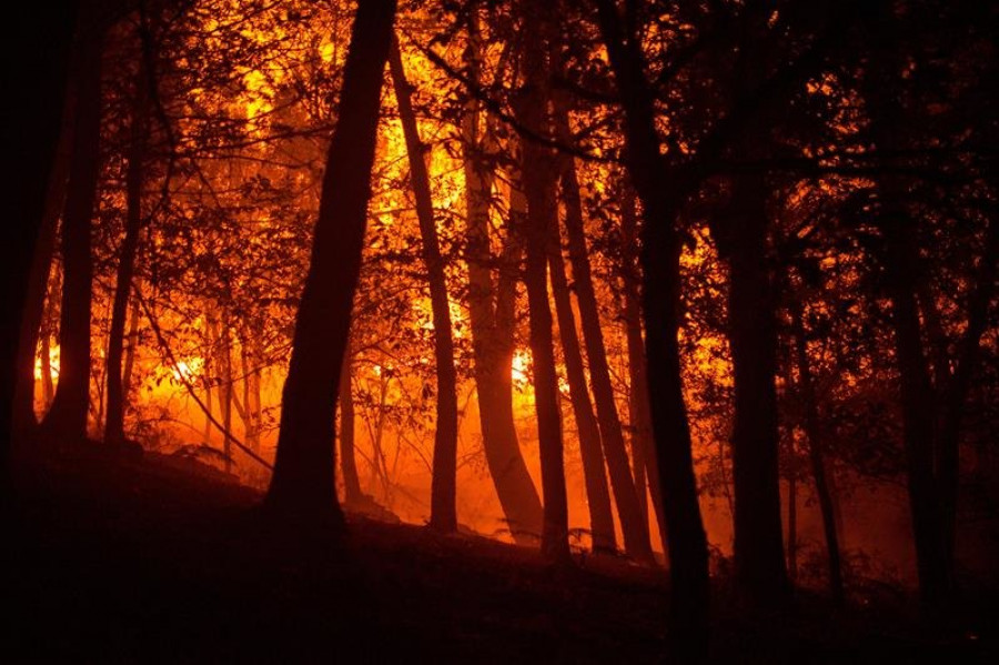 Los cinco incendios forestales activos en Galicia arrasan casi 700 hectáreas