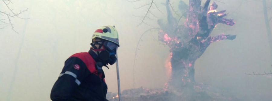 El fuego arrasó casi 30.000 hectáreas en España solo en el mes de diciembre