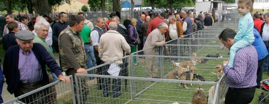 Centenares de aficionados a la caza asisten en San Marcos a la feria de perros