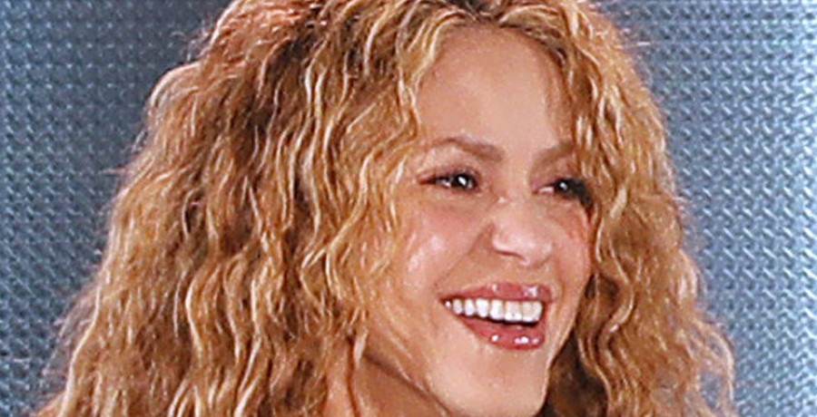 Shakira: si la vida te da "limones amargos no queda otra que hacer limonada"