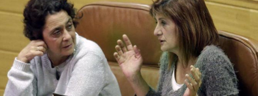 Carmen Iglesias y Consuelo Martínez se turnarán la portavocía del grupo mixto