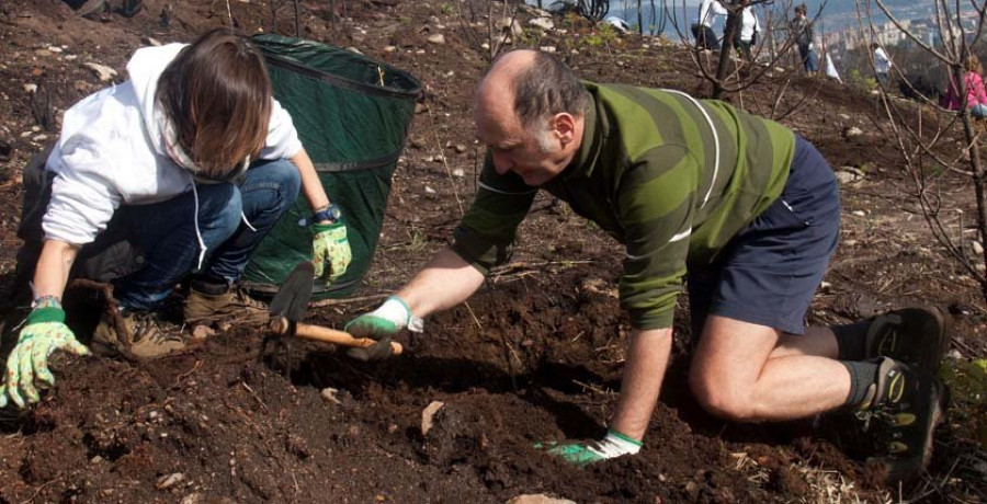 La Xunta abona 13,3 millones de euros de ayudas para silvicultura y gestión forestal