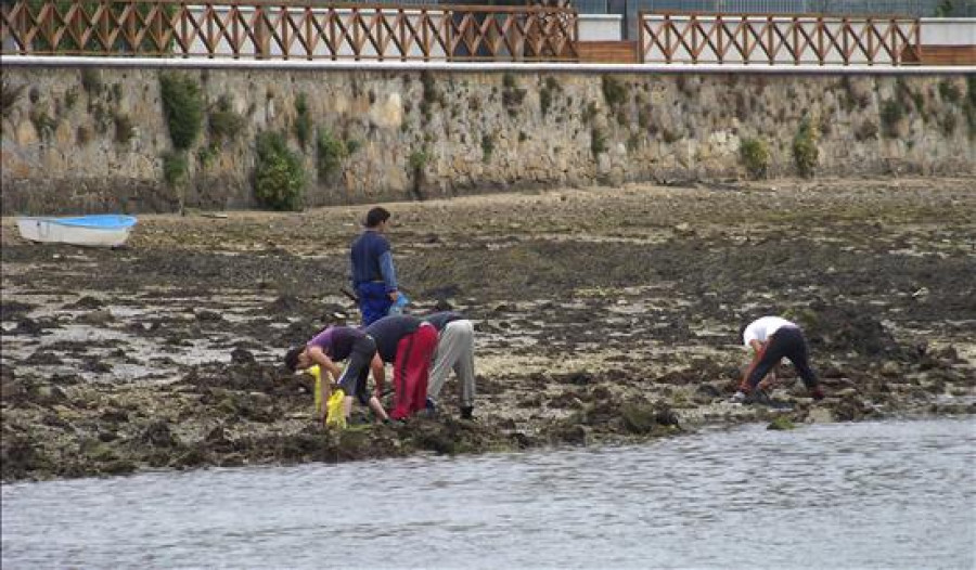 A Coruña aspira a lograr "cero vertidos" en la contaminada ría de O Burgo