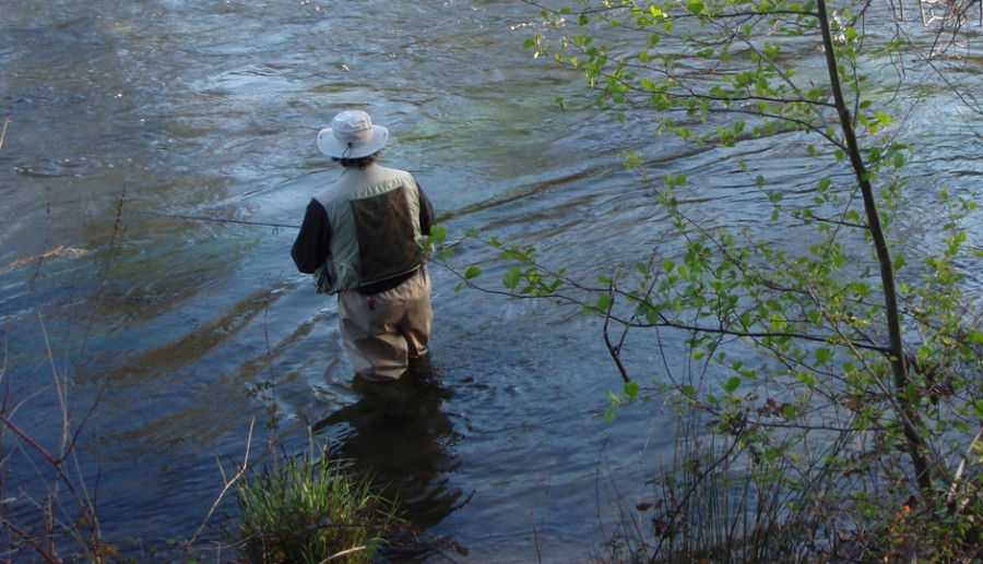 La pesca recreativa queda autorizada dentro de las medidas actuales