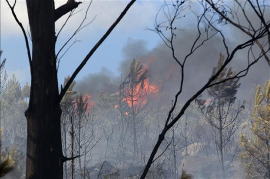 El fuego de Vilamarín, en Ourense, afecta a 50 hectáreas