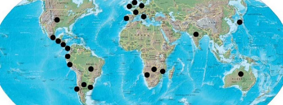 Pescanova protagoniza un revuelto mapa societario en pleno océano
