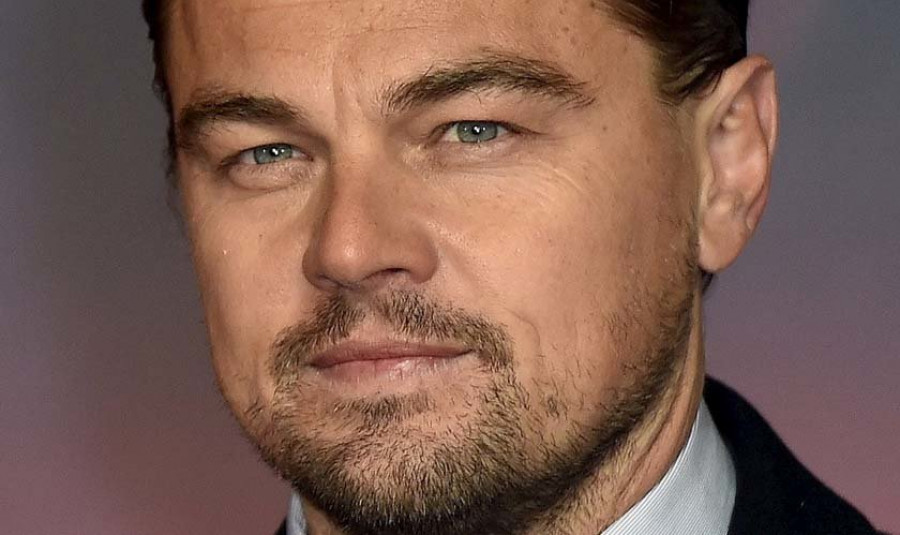 Bautizan un escarabajo con 
el nombre de Leonardo Dicaprio