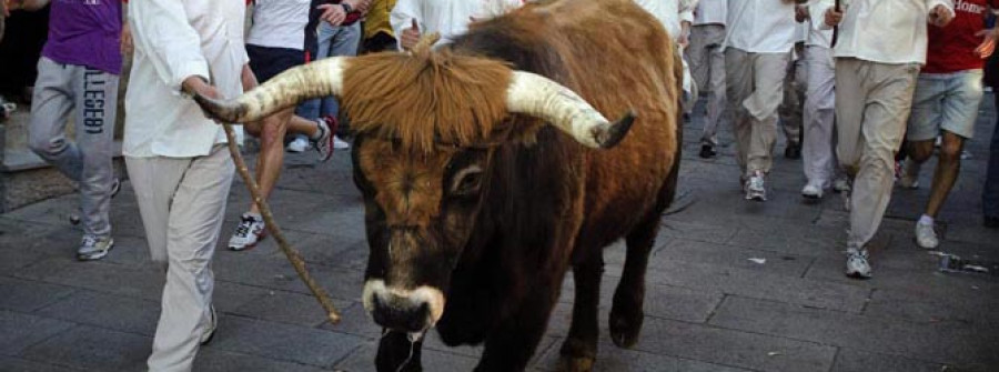Los vecinos de Allariz honran más de siete siglos de tradición  en su popular Festa do Boi