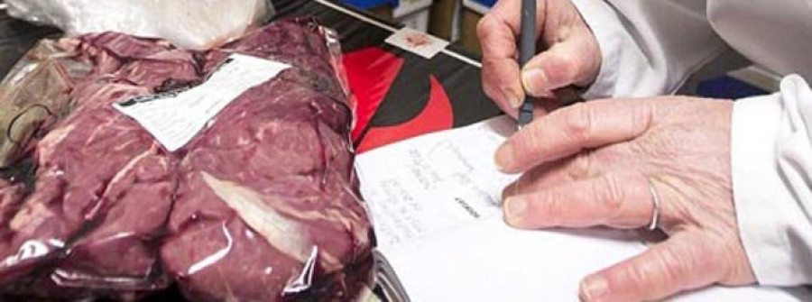 Un coruñés detenido por introducir de forma ilegal carne de caballo en mataderos