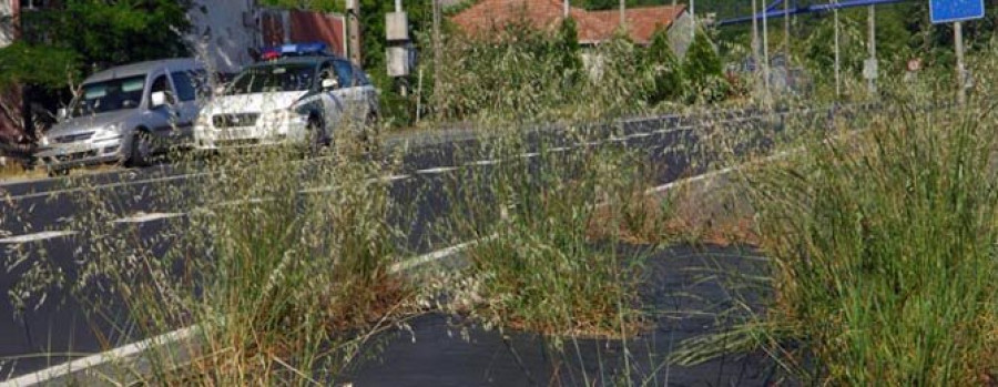 La maleza se adueña de los parterres situados en un arcén de la N-VI en Iñás