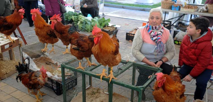 La tradicional Feira do Galo llena de sabor los hogares de Arteixo en vísperas de Navidad