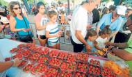 Eirís volverá a empacharse de fresas en su fiesta del 20 de agosto