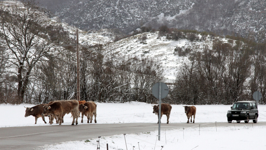 Protección Civil alerta por nieve y lluvias en el país por una DANA