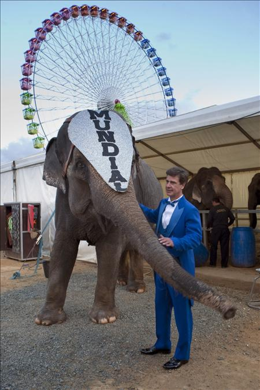 Cayetano Martínez de Irujo, domador de elefantes por un día en el Circo Mundial