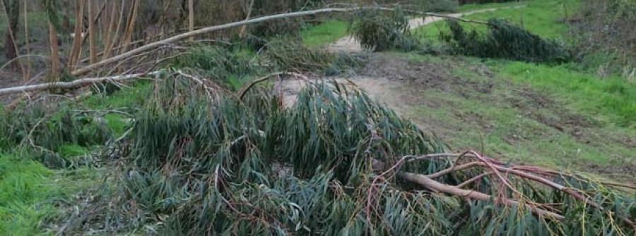 CAMBRE-UxC critica la “desidia” de Rivas para mejorar el paseo fluvial del río Mero