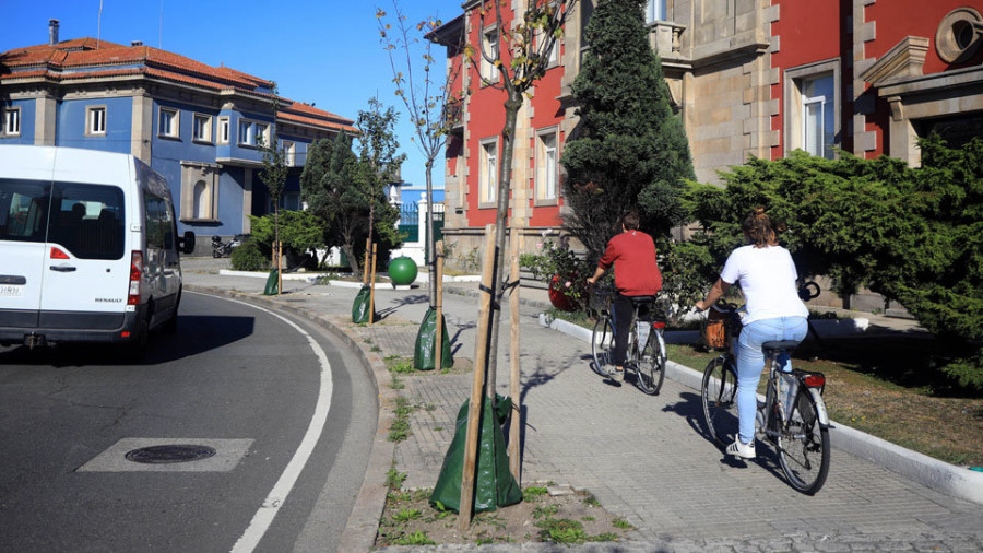 El centro de la ciudad perdió un 10% 
de su arbolado en lo que va de década