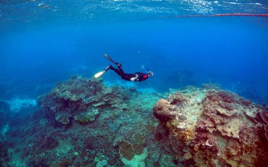 La próxima cumbre sobre el cambio climático ya tiene sede