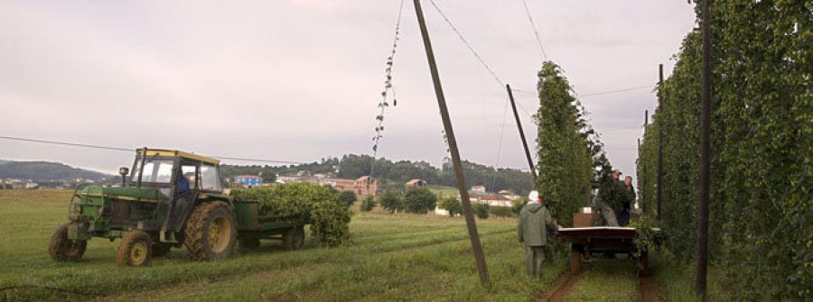 El Centro Agrario de Mabegondo se consolida como referente de investigación rural en Galicia