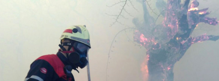 Decenas de incendios forestales en las comunidades de Asturias y Cantabria siembran el caos