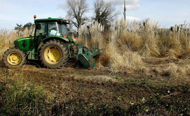 La Diputación de Ourense crea la 'Tarjeta 8M' para mujeres que emprendan en el rural