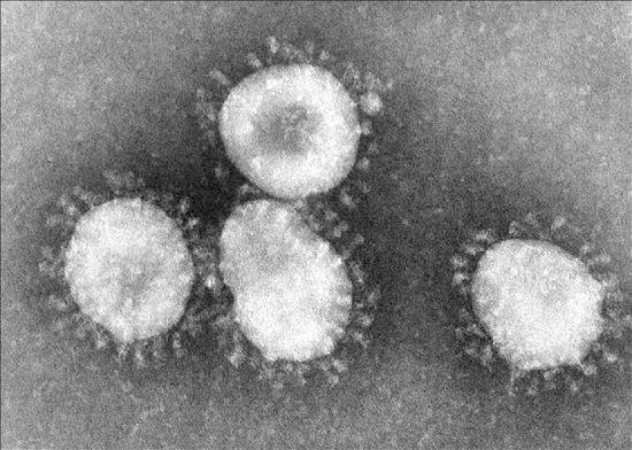 Aislados en un hospital por contacto con coronavirus