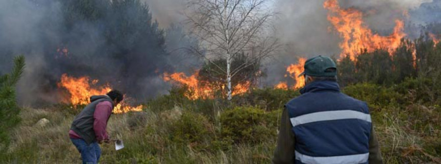 Estabilizado el incendio forestal del Parque do Xurés después de arrasar más de 300 hectáreas