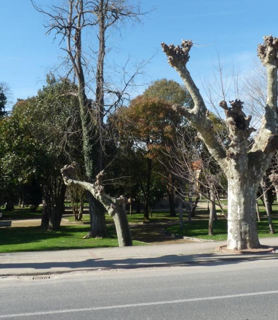 Betanzos afirma que la ordenanza de limpieza se incumple “en un tanto por ciento importante”