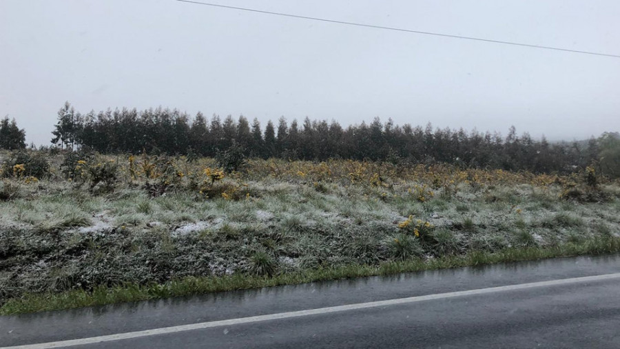 El descenso de las temperaturas y la nieve dan la sorpresa en plena primavera en Curtis