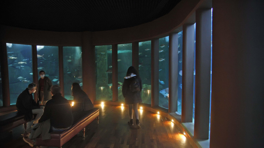 Los museos científicos de A Coruña abrirán de forma gratuita del 14 al 20 de noviembre