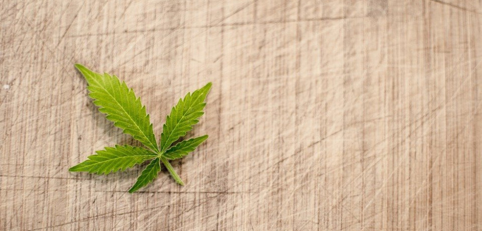 Elementos necesarios para cultivar marihuana en casa