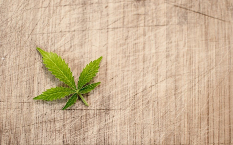Elementos necesarios para cultivar marihuana en casa