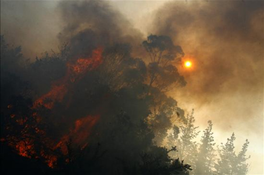 Los ecologistas constituirán hoy la Plataforma en Defensa de Fraguas do Eume